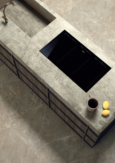 integrated sink & induction hob