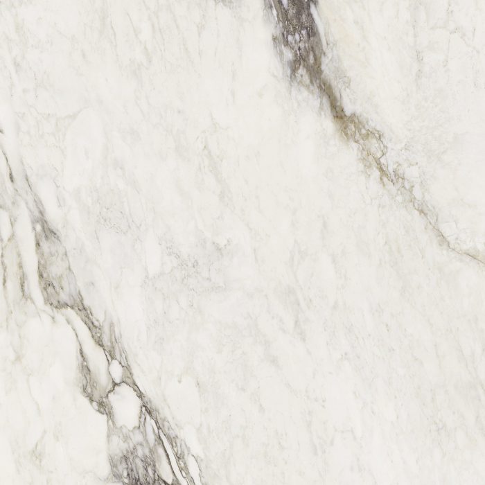 Pp-only - Etoile Renoir – Polished