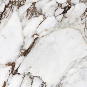 Breche Capraia – Polished