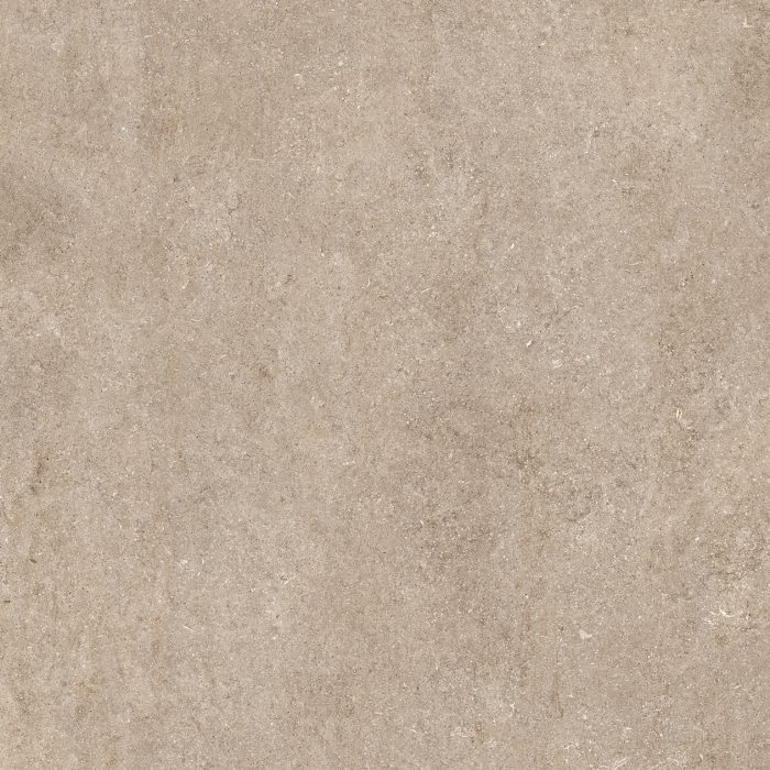 Pp-stone - Fossil Ivory – Natural