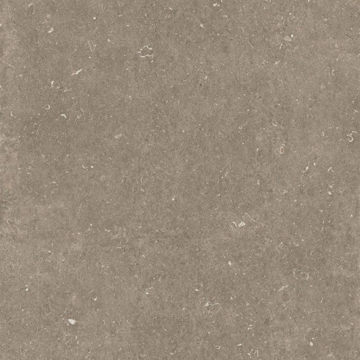 Renaissance - Chestnut – Grip