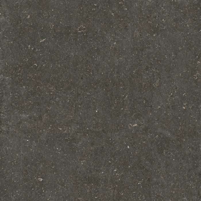 Renaissance - Basalt – Structured