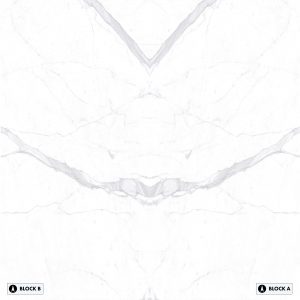 Stone Sense - Arabescato Bookmatched – Polished
