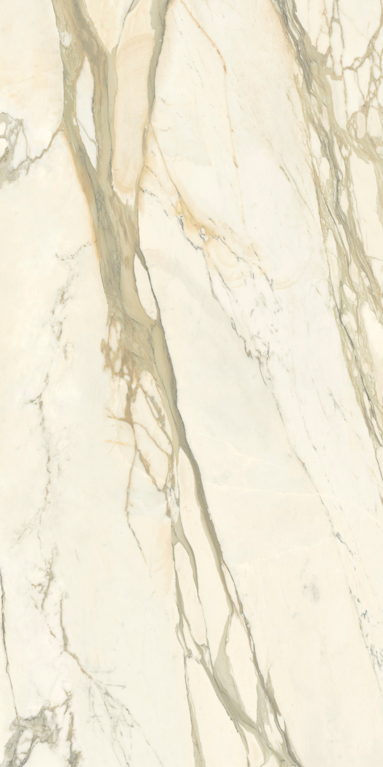 calacatta oro polished porcelain tile
