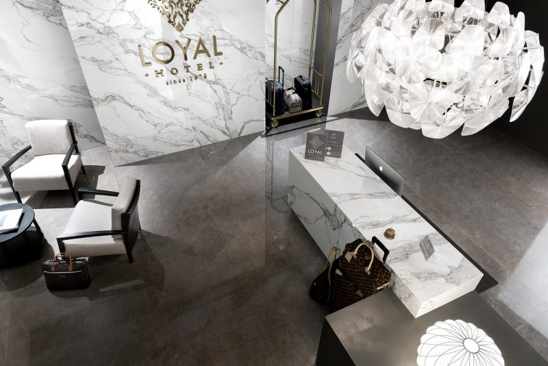 Corona – White Beauty 11937