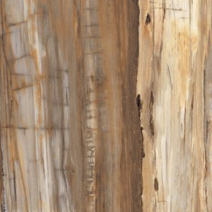 Elegant Marrone – Honed
