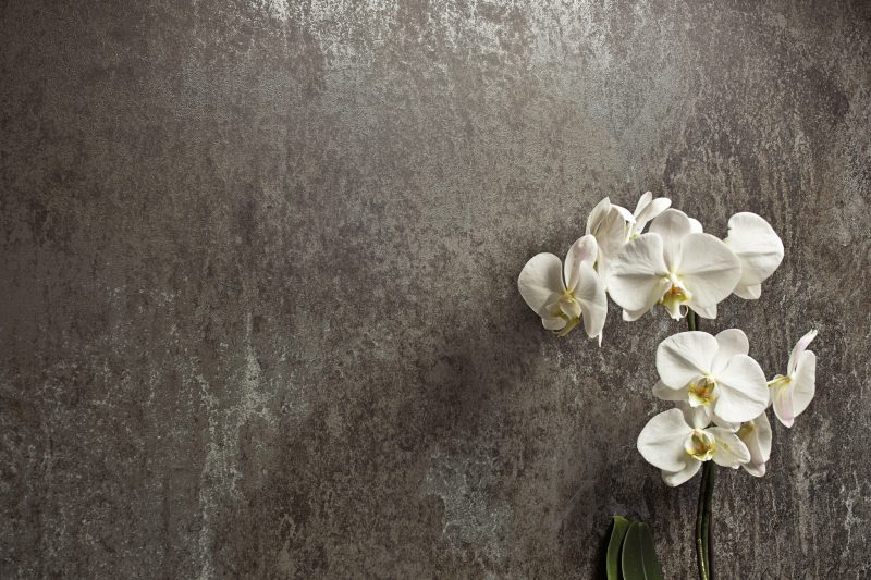 Fusione – Artemide 14233