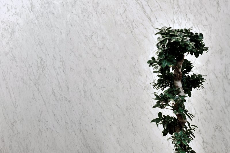 Grandi Marmi – Carrara Elite 28509