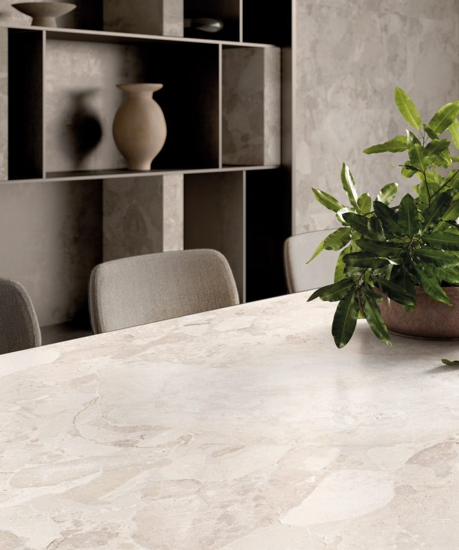 Roccia Fossile & Calce Bianca 48674