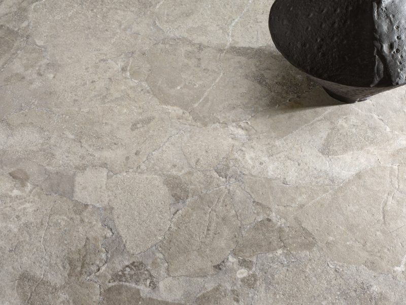 Roccia Fossile 48675