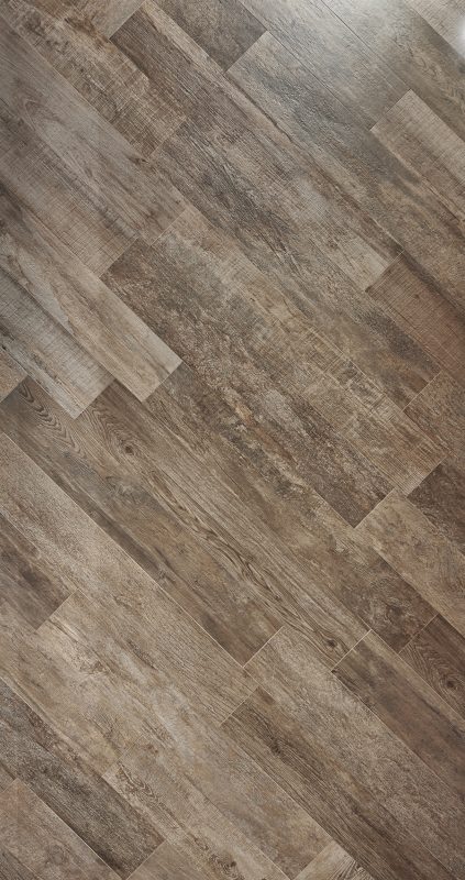 Corteccia – Lucerne 38287