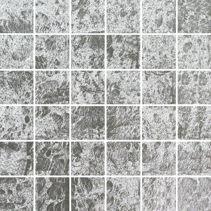 Exquisite - Silver – Glass