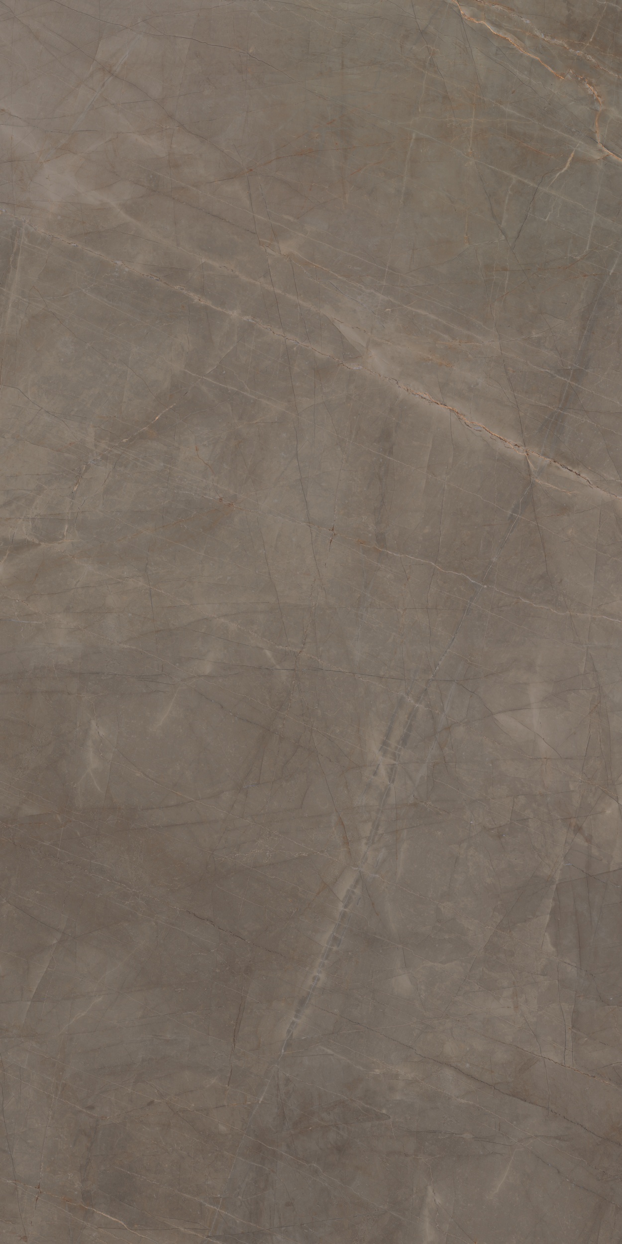 Velvet Taupe Polished porcelain tile from our Depth 6mm, Extra Large