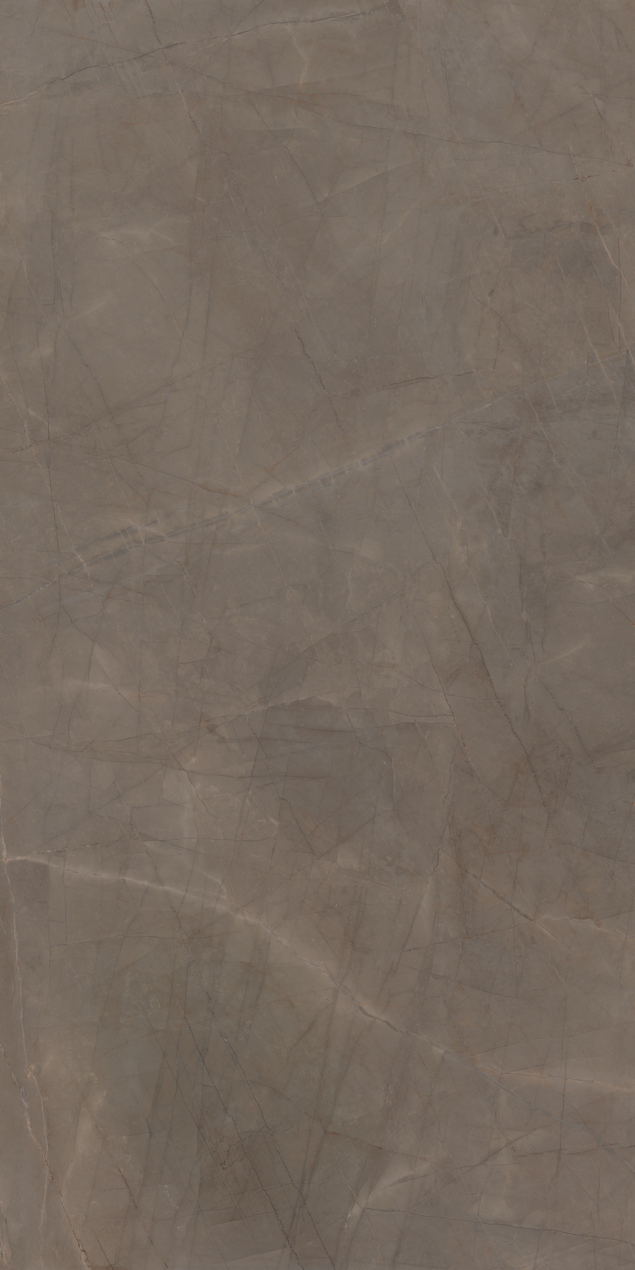 Velvet Taupe Polished porcelain tile from our Depth 6mm, Extra Large