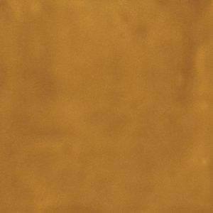 Cammello – Polished