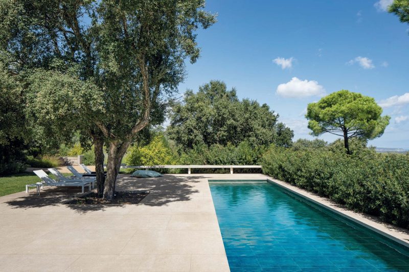 Renaissance – Chalk 54009