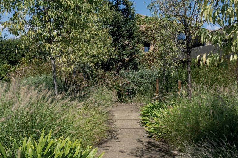 Renaissance – Chestnut 54011