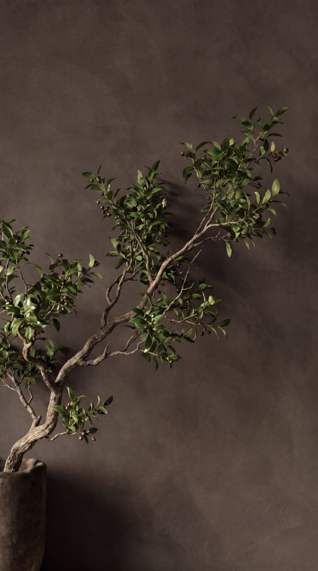 Equilibrio – Mocha 59162