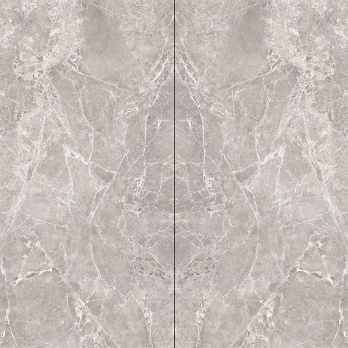 Bookmatch Bliss - Moon Grey Bookmatched – Polished
