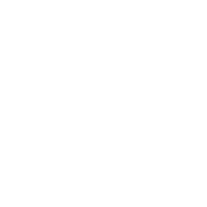  - Mosaic 55 x 55