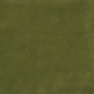 Muschio – Polished