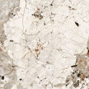 Patagonia Vitrum