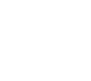 Surface Design Show 2020