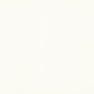 Titanium White – Active